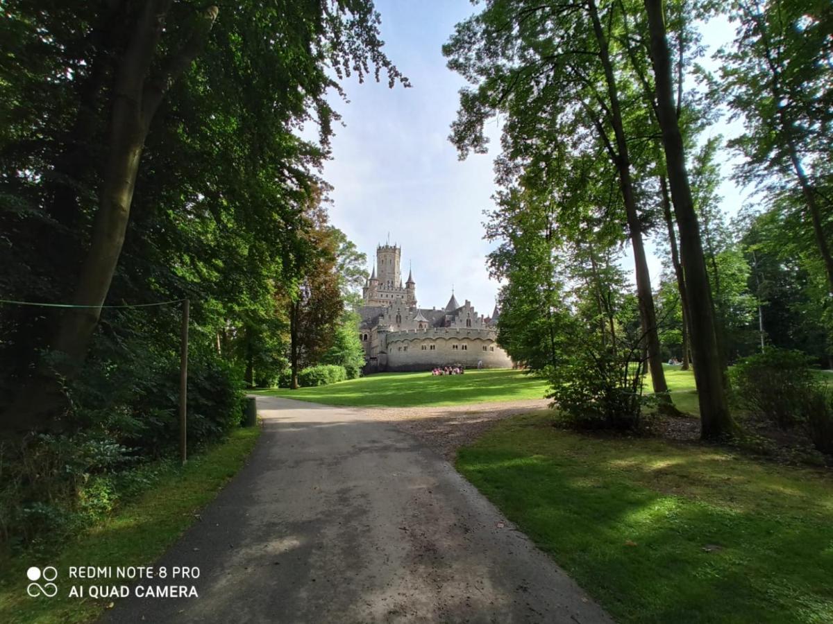 Ferienwohnung Colin Im Schoenen Weserbergland Naehe Freizeitpark Salzhemmendorf Extérieur photo